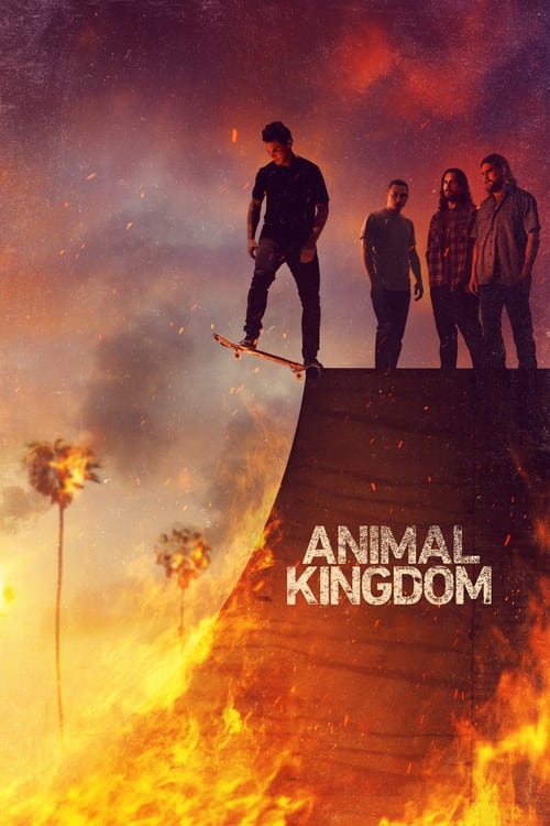 Animal Kingdom : 3.Sezon 7.Bölüm