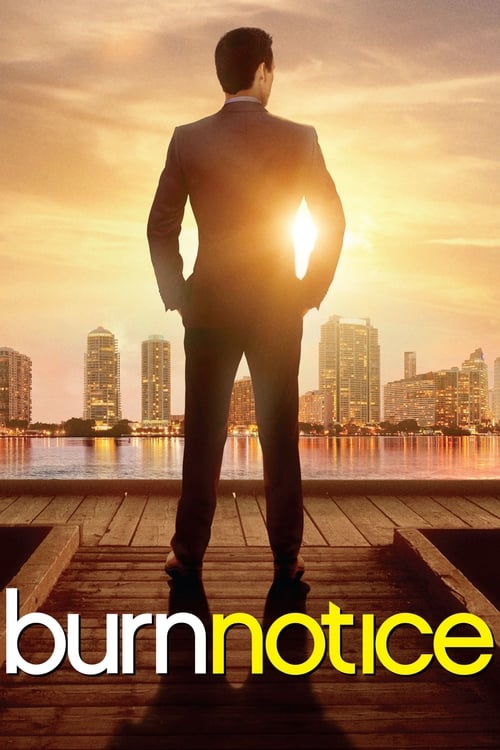 Burn Notice : 2.Sezon 9.Bölüm